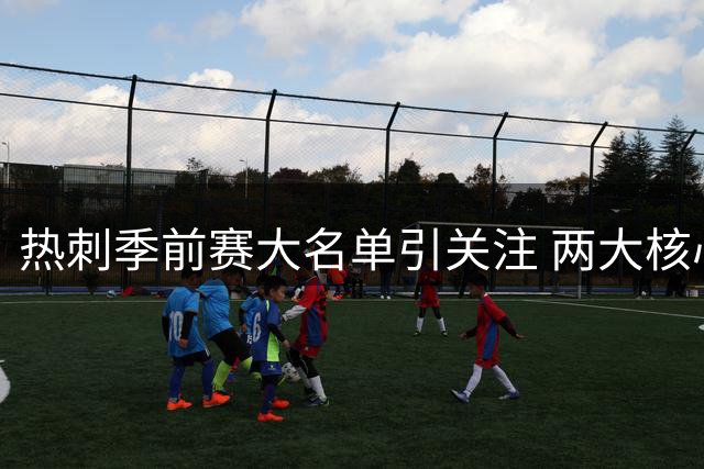 热刺季前赛大名单引关注 两大核心伤情反复无缘南半球之行